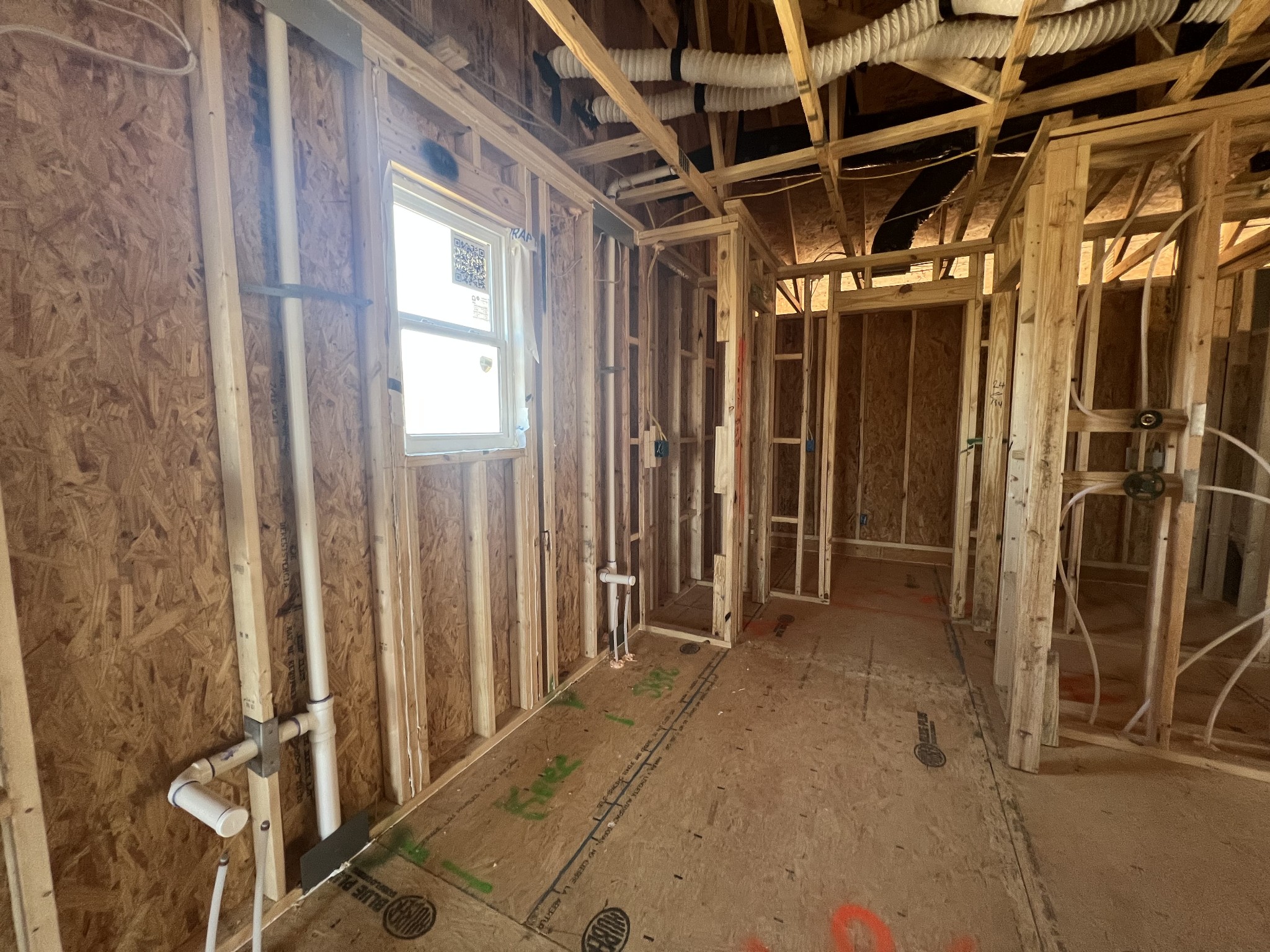 4154 Dream Beetle Loop