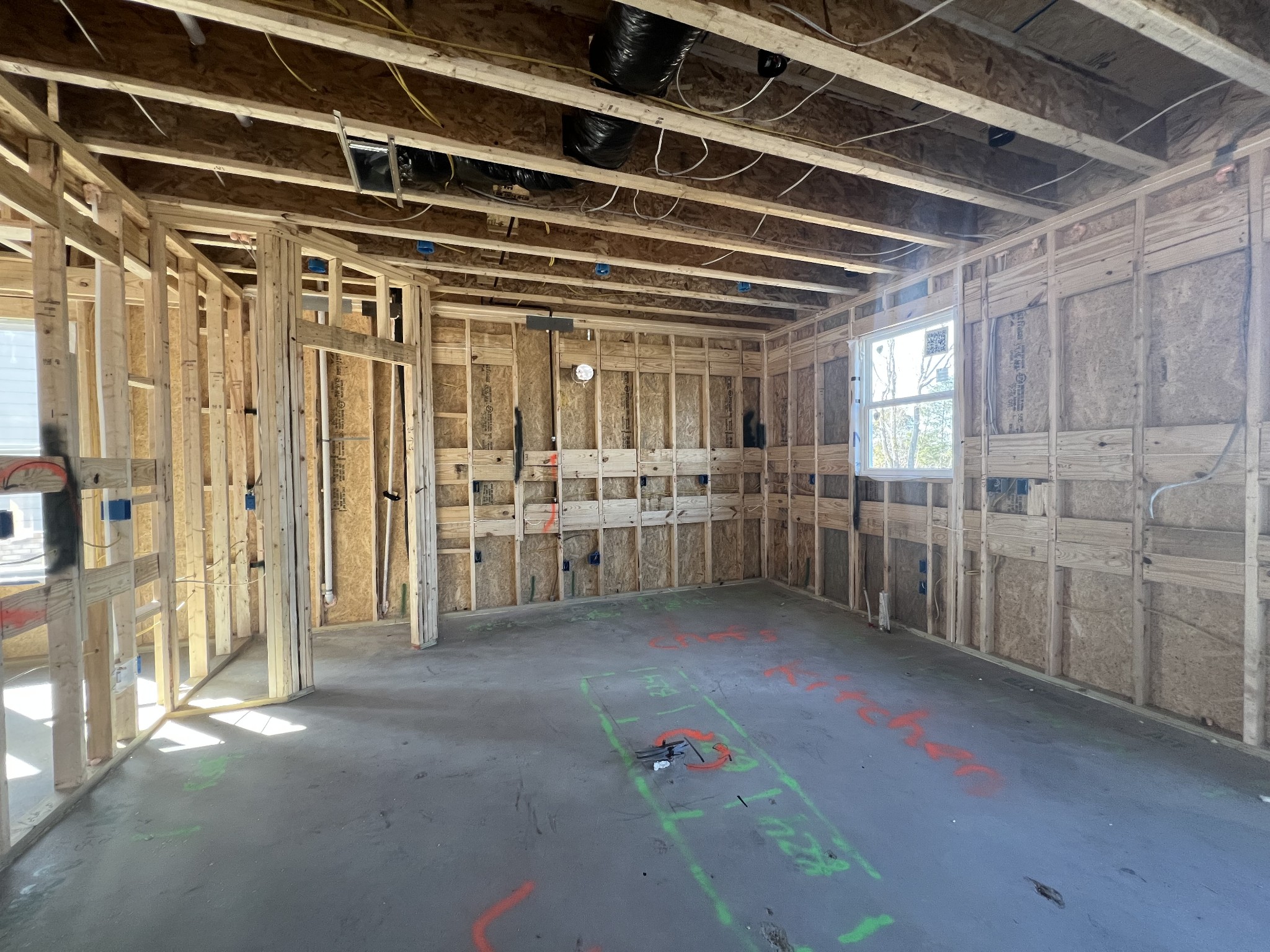 4154 Dream Beetle Loop