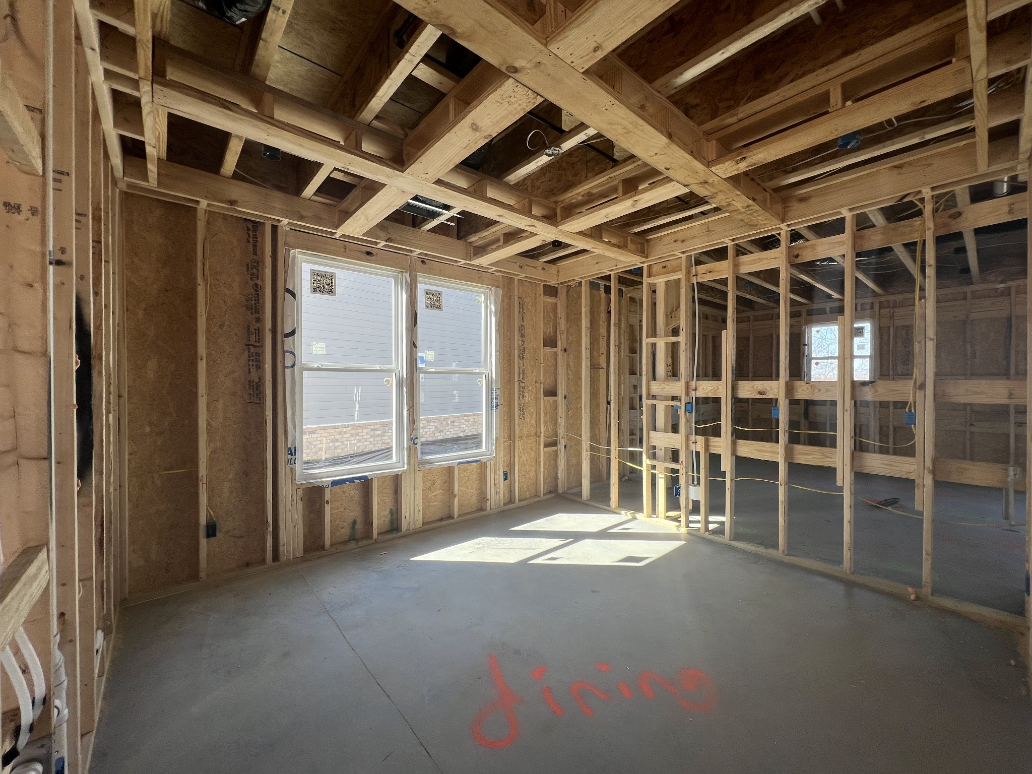 4154 Dream Beetle Loop