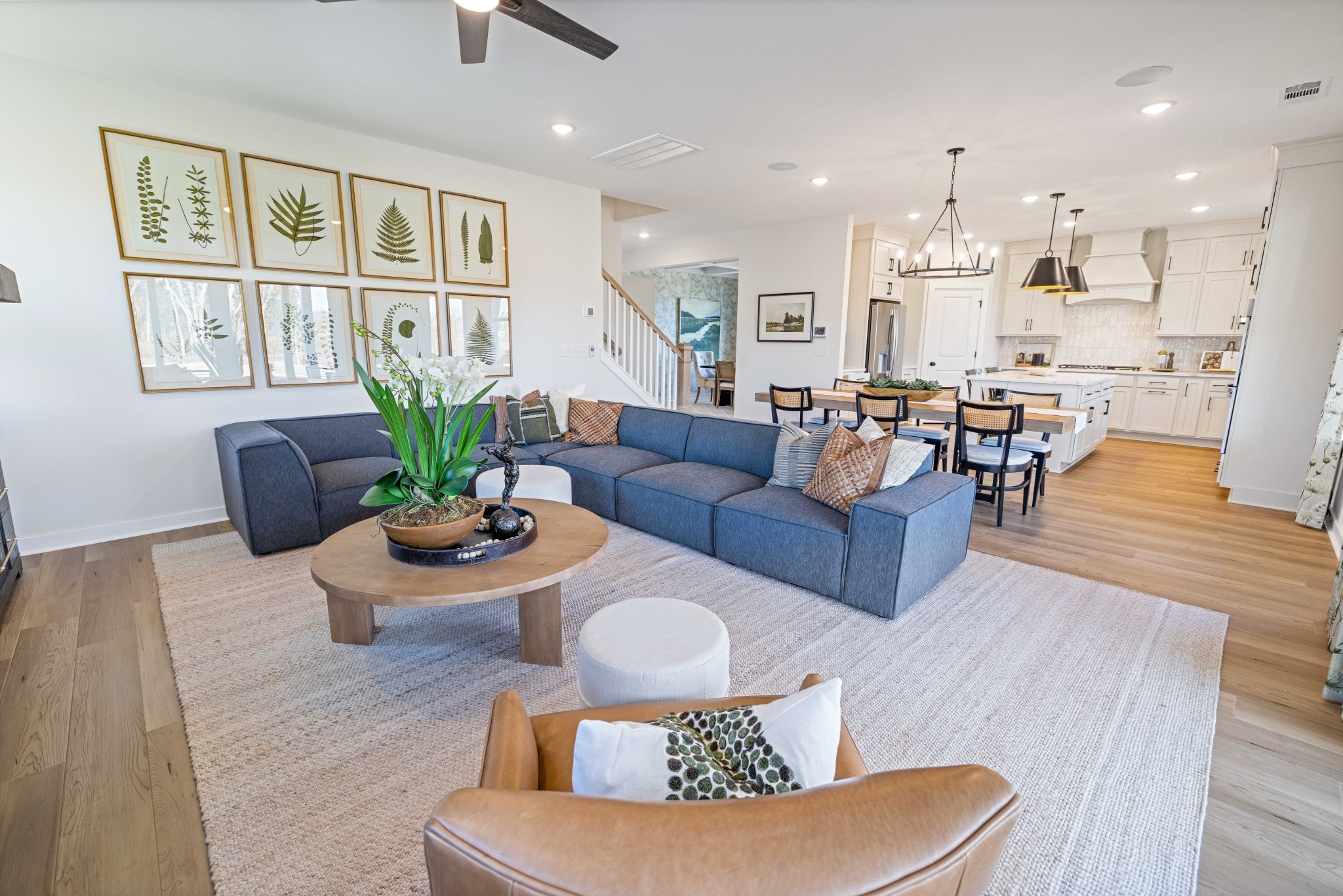 4154 Dream Beetle Loop