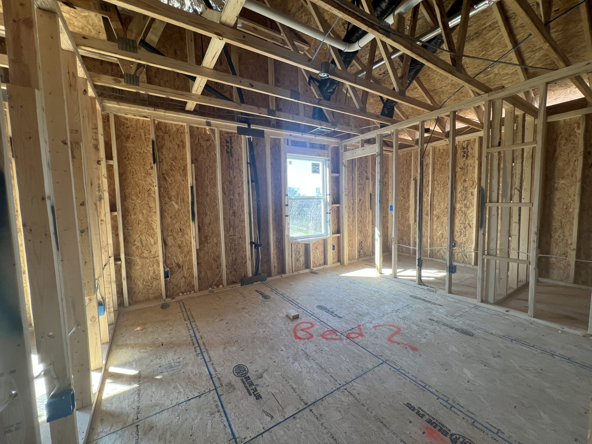 4154 Dream Beetle Loop