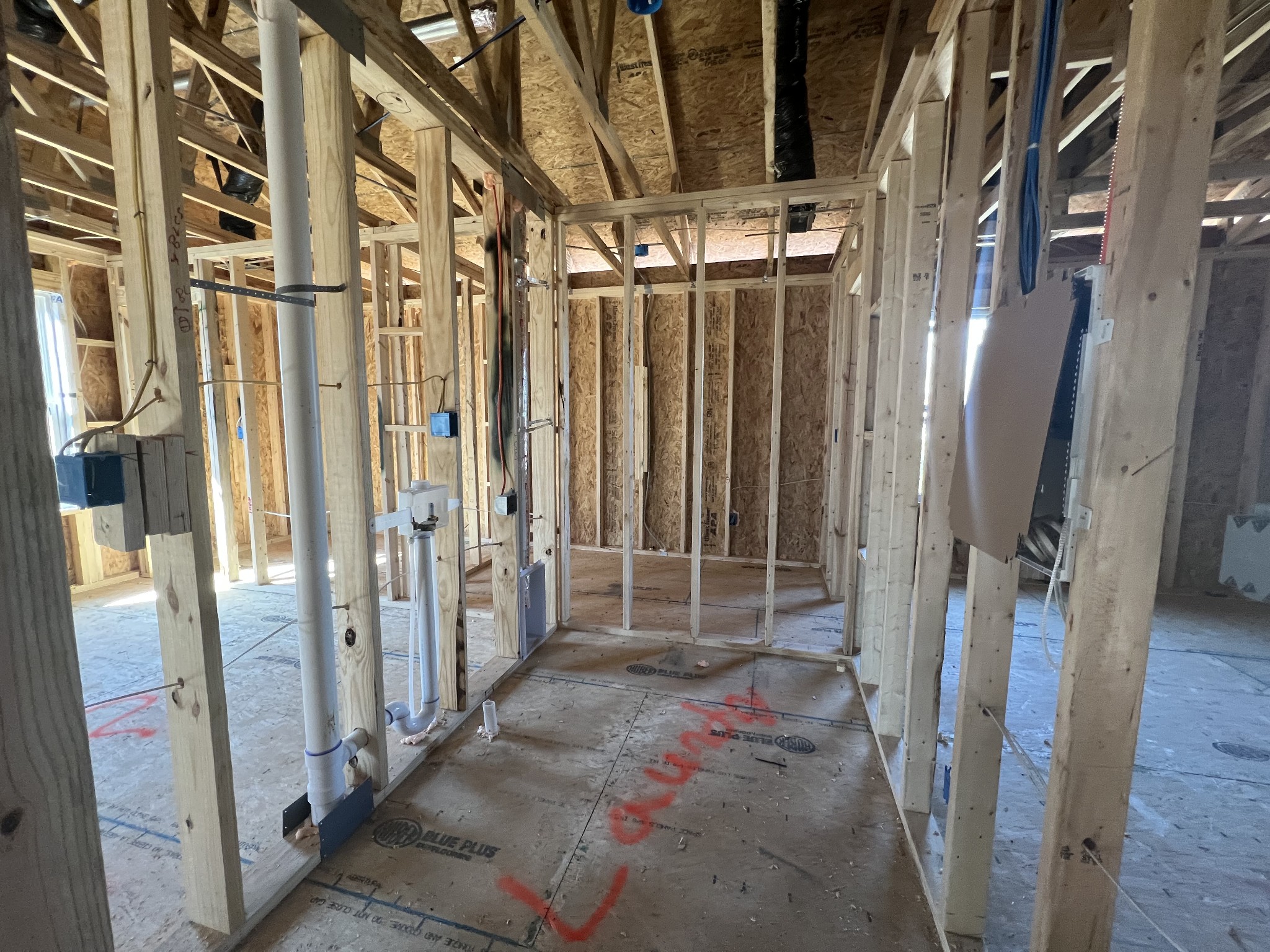 4154 Dream Beetle Loop