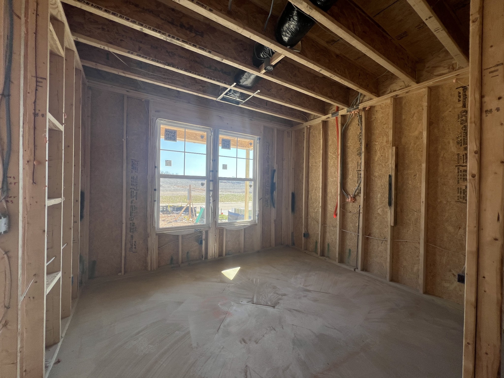 4154 Dream Beetle Loop