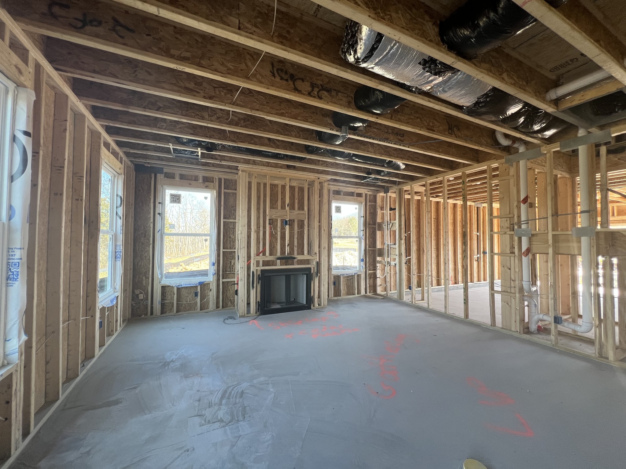 4154 Dream Beetle Loop