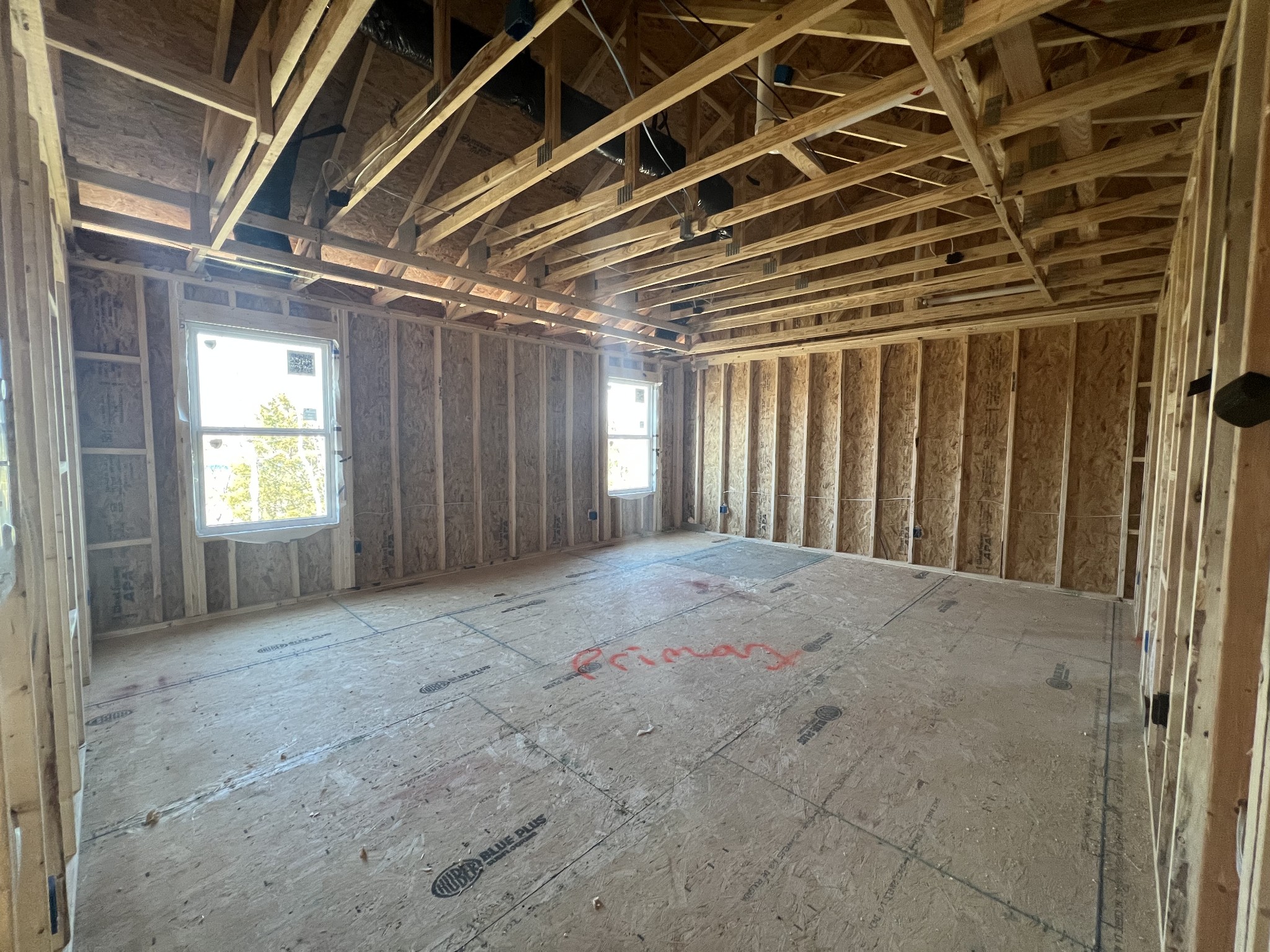 4154 Dream Beetle Loop