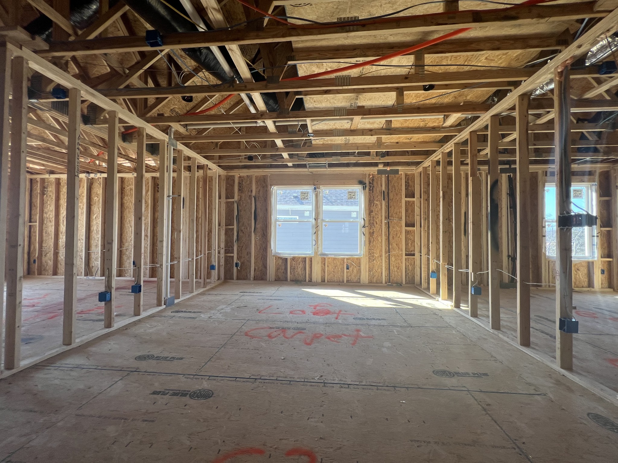 4154 Dream Beetle Loop