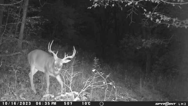 2203 Stones River Rd