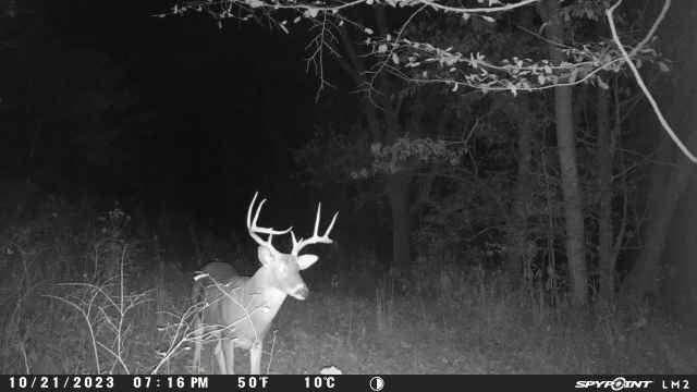 2203 Stones River Rd