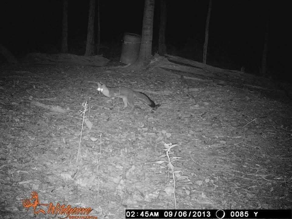 2203 Stones River Rd