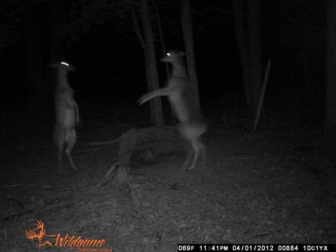 2203 Stones River Rd