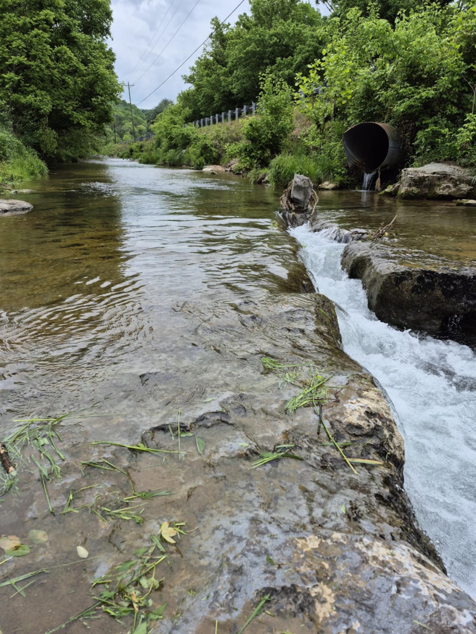 2203 Stones River Rd