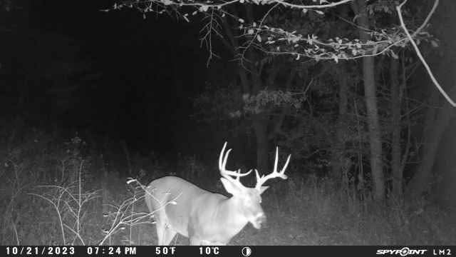 2203 Stones River Rd