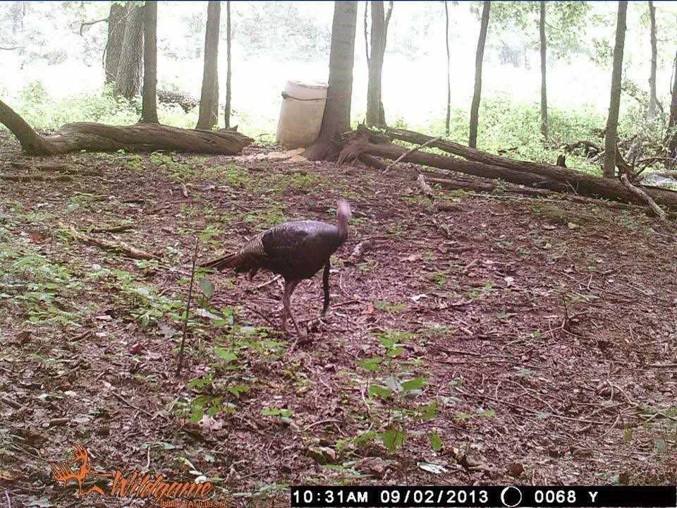 2203 Stones River Rd