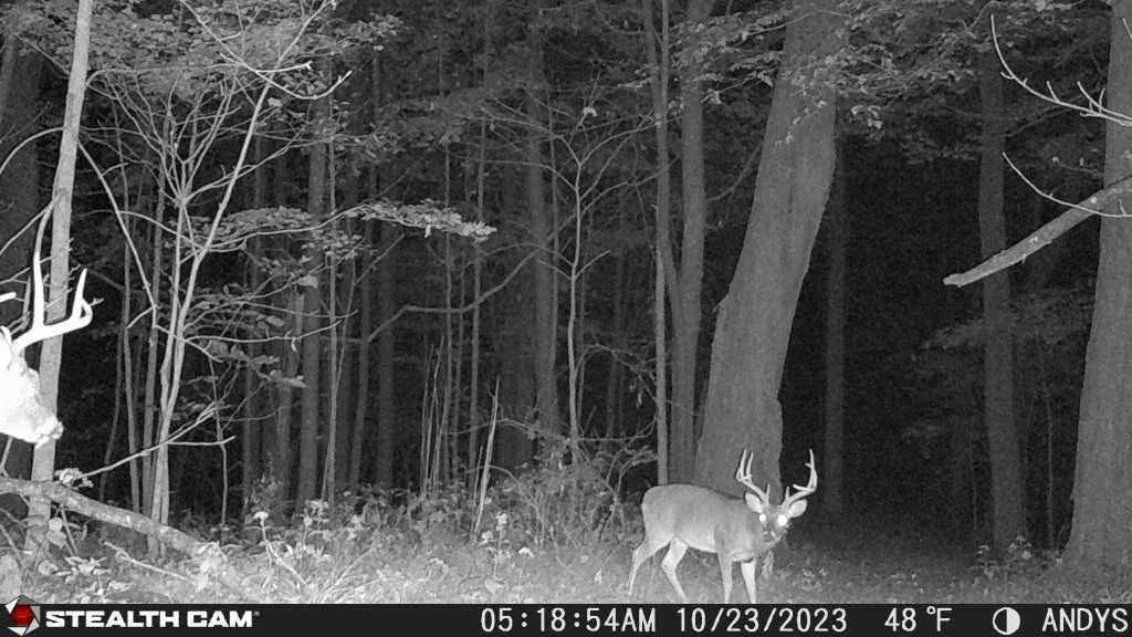 2203 Stones River Rd