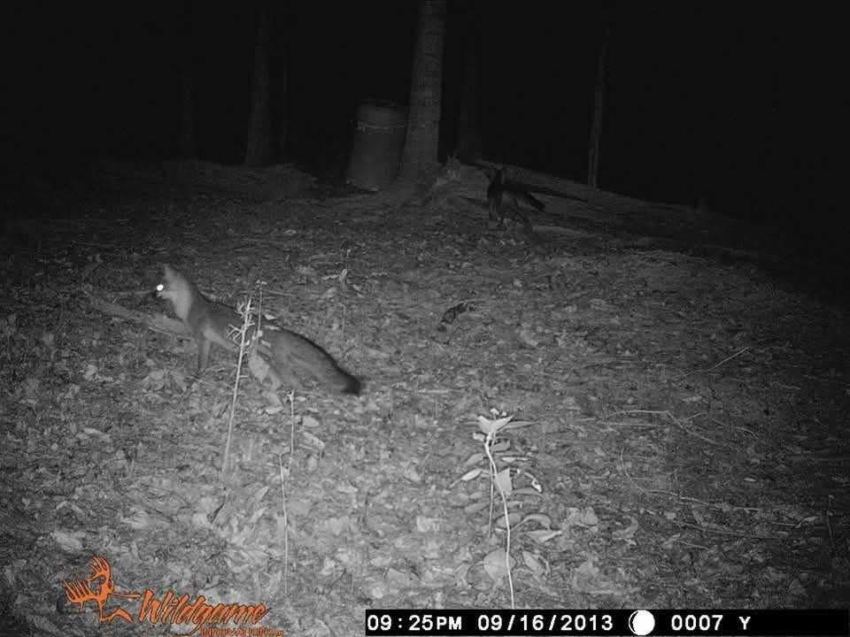 2203 Stones River Rd