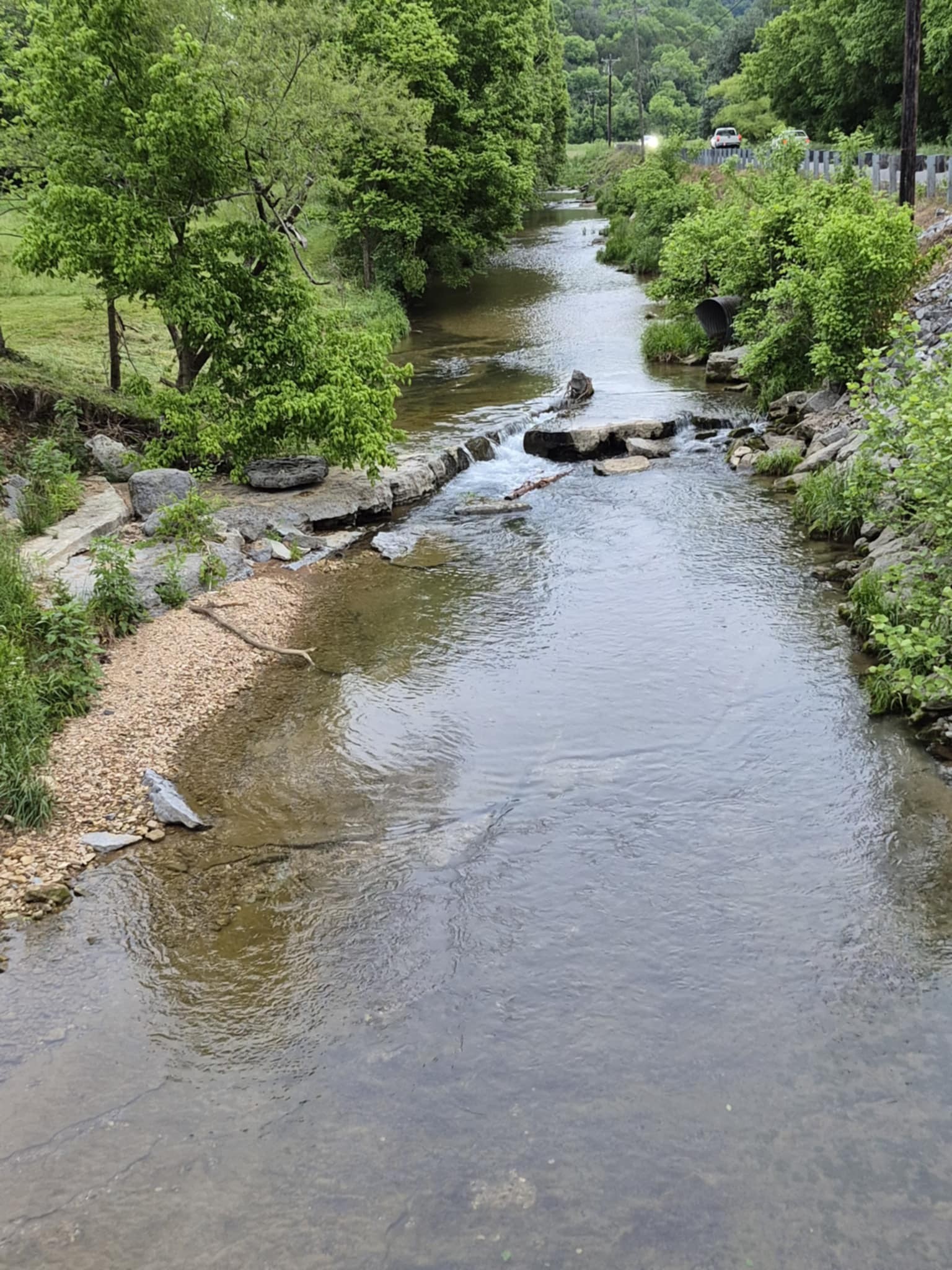 2203 Stones River Rd