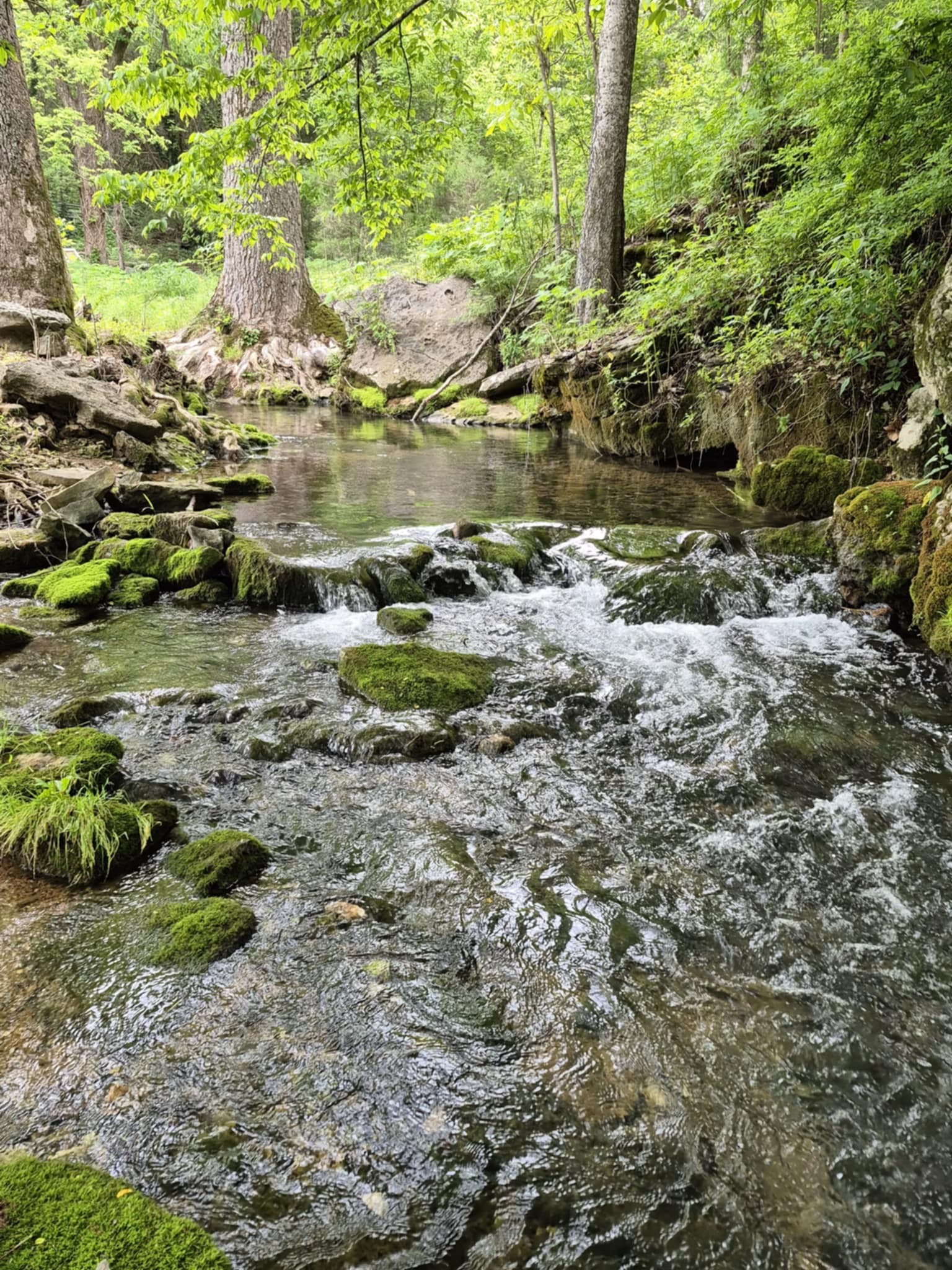 2203 Stones River Rd