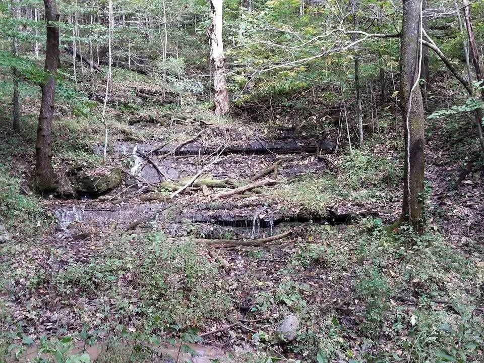 2203 Stones River Rd