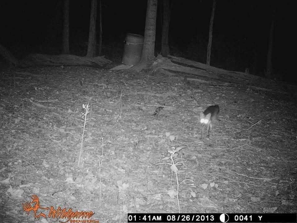 2203 Stones River Rd