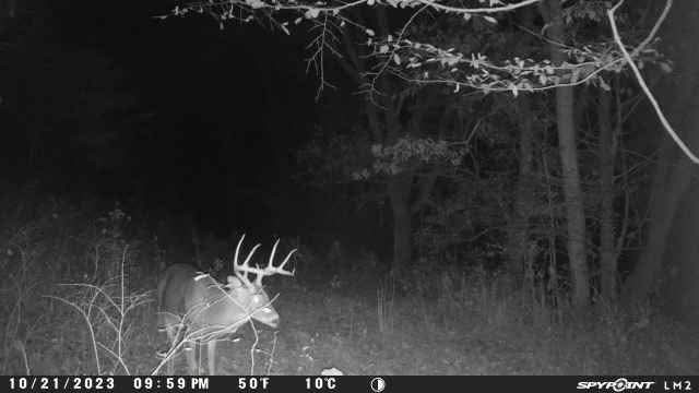 2203 Stones River Rd