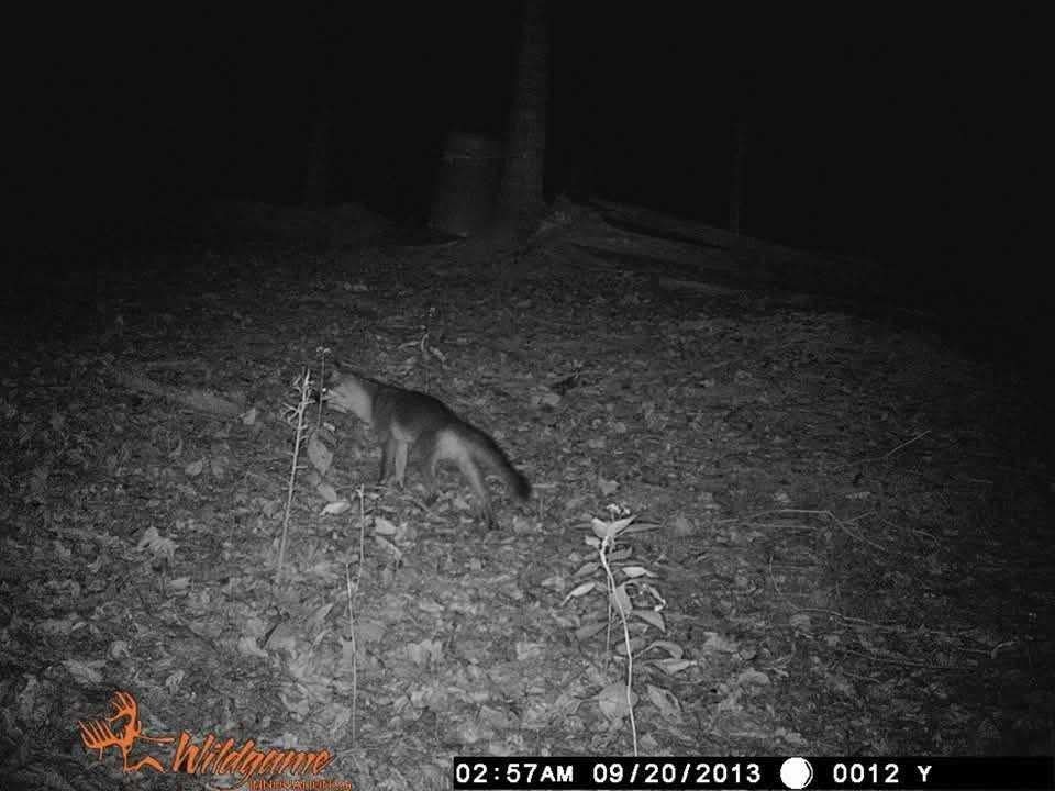 2203 Stones River Rd