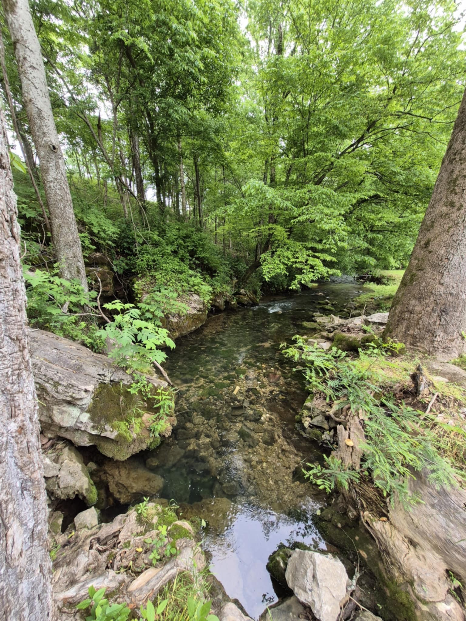 2203 Stones River Rd