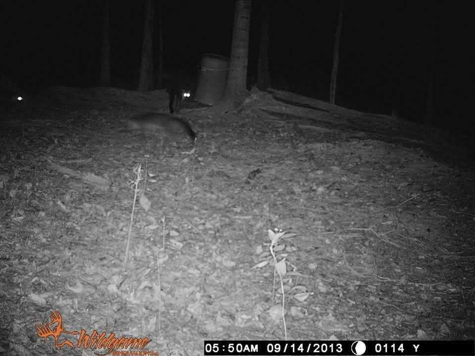 2203 Stones River Rd