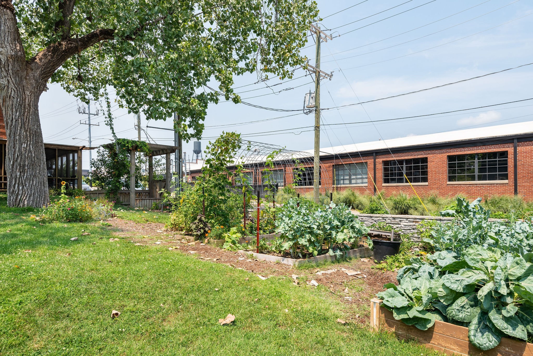 1325 5th Ave, N Unit: 4