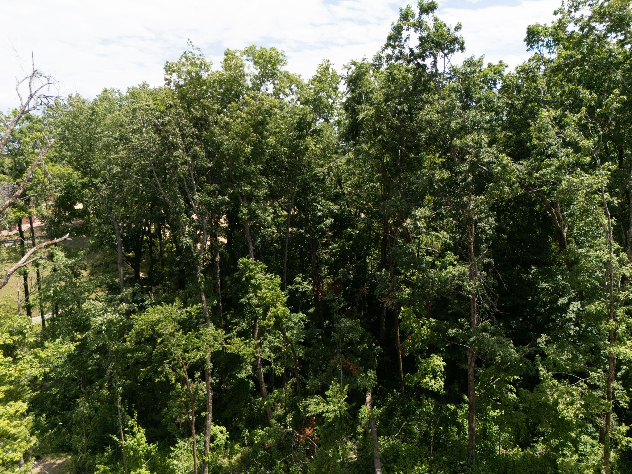 9405 Dewaal Ridge