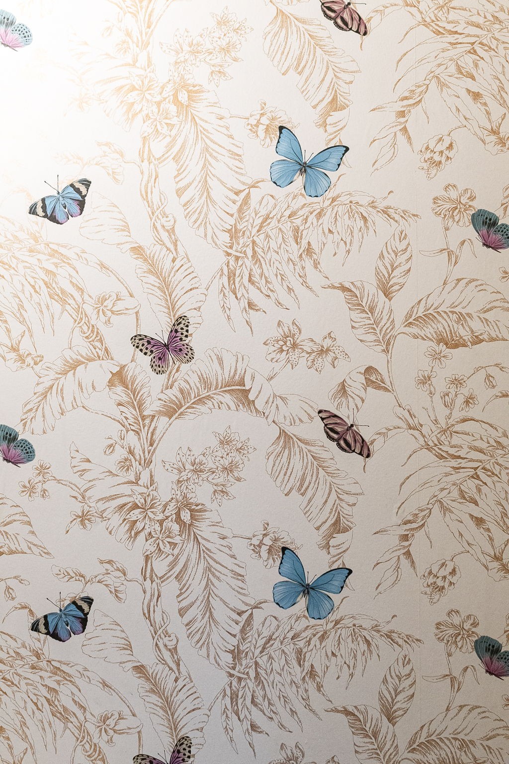 2116 Hobbs Rd Unit: C2