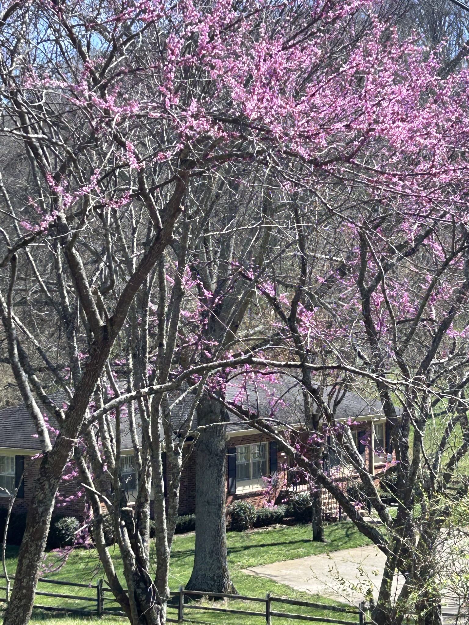 606 Natchez Bend Road