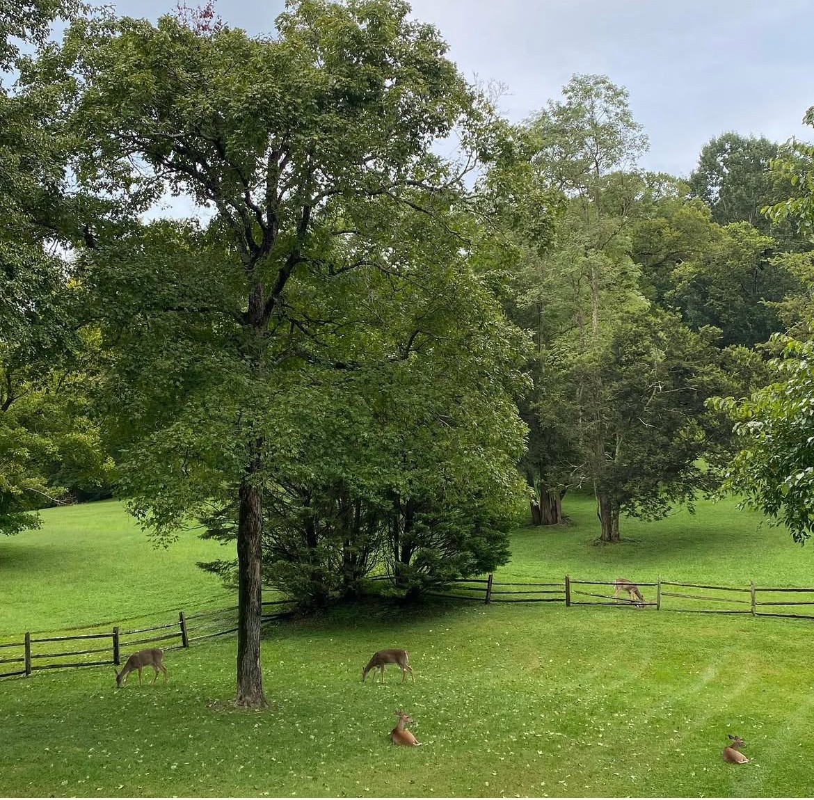 606 Natchez Bend Road