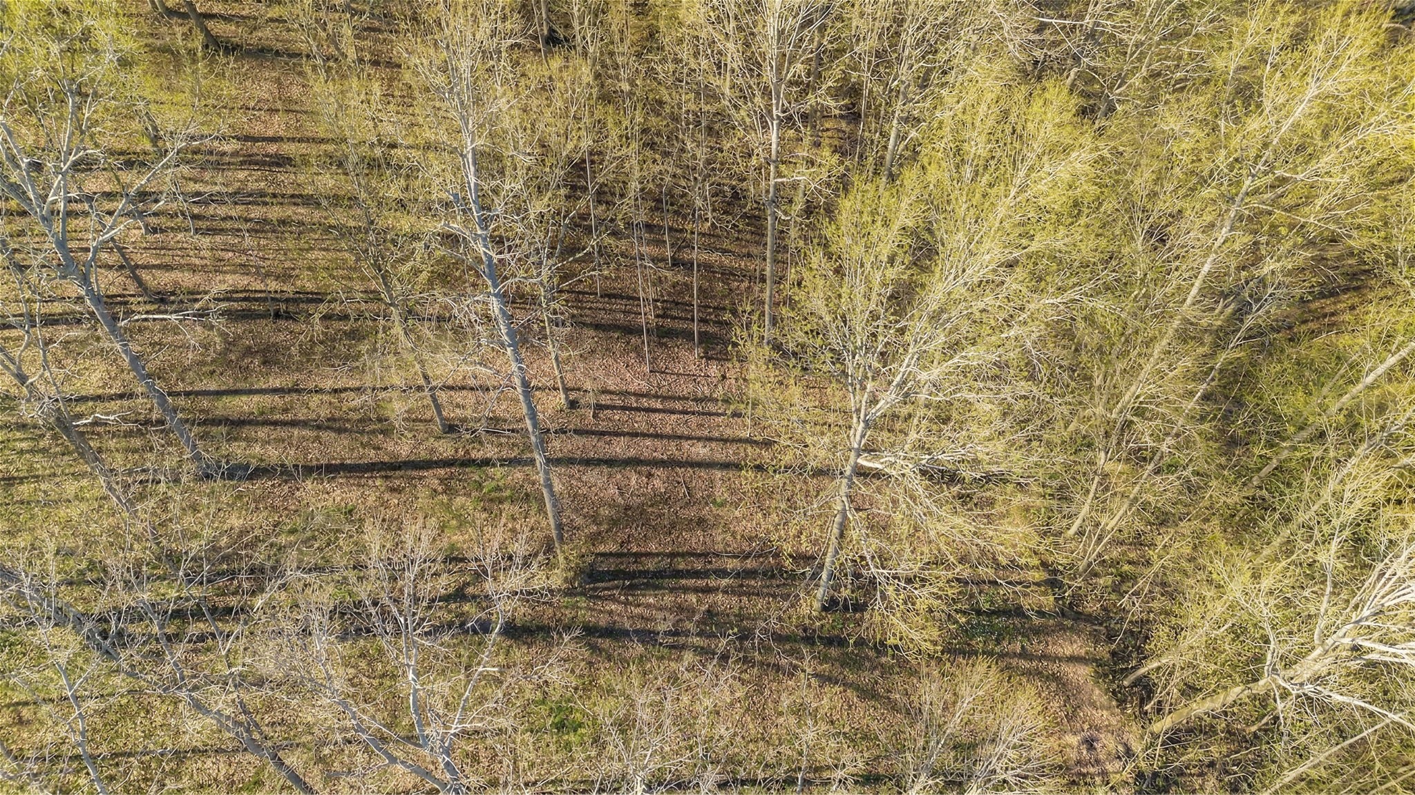 5717 Quest Ridge Rd