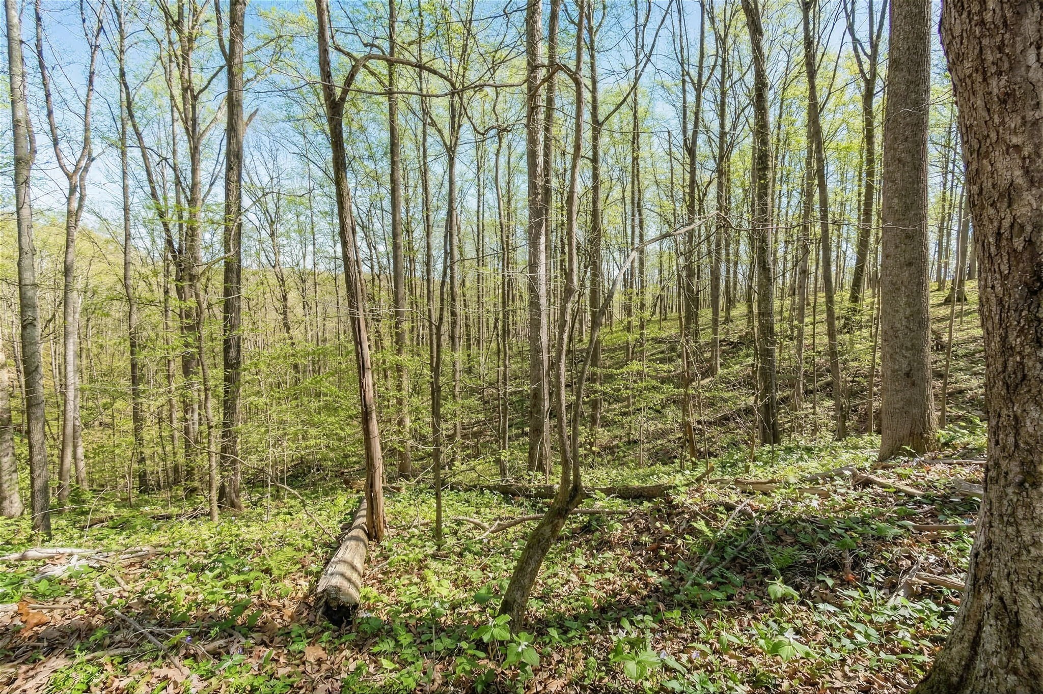 5717 Quest Ridge Rd