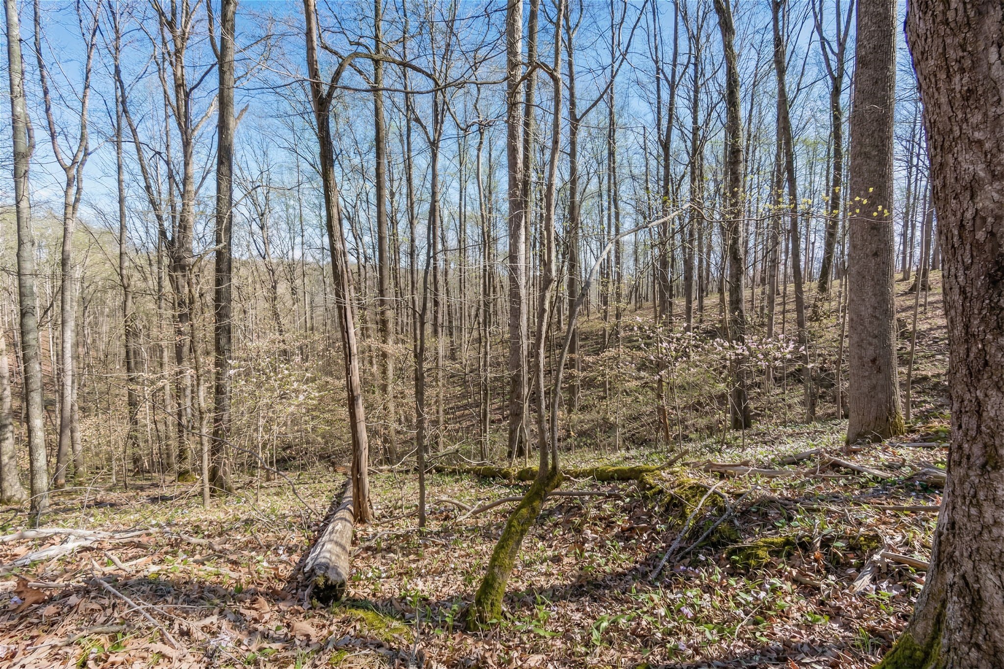 5717 Quest Ridge Rd