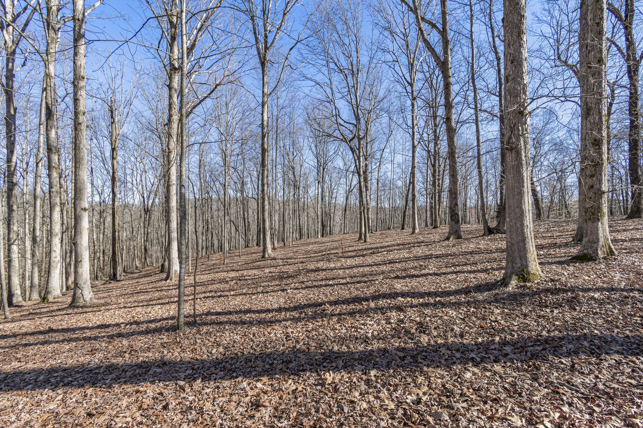 5717 Quest Ridge Rd