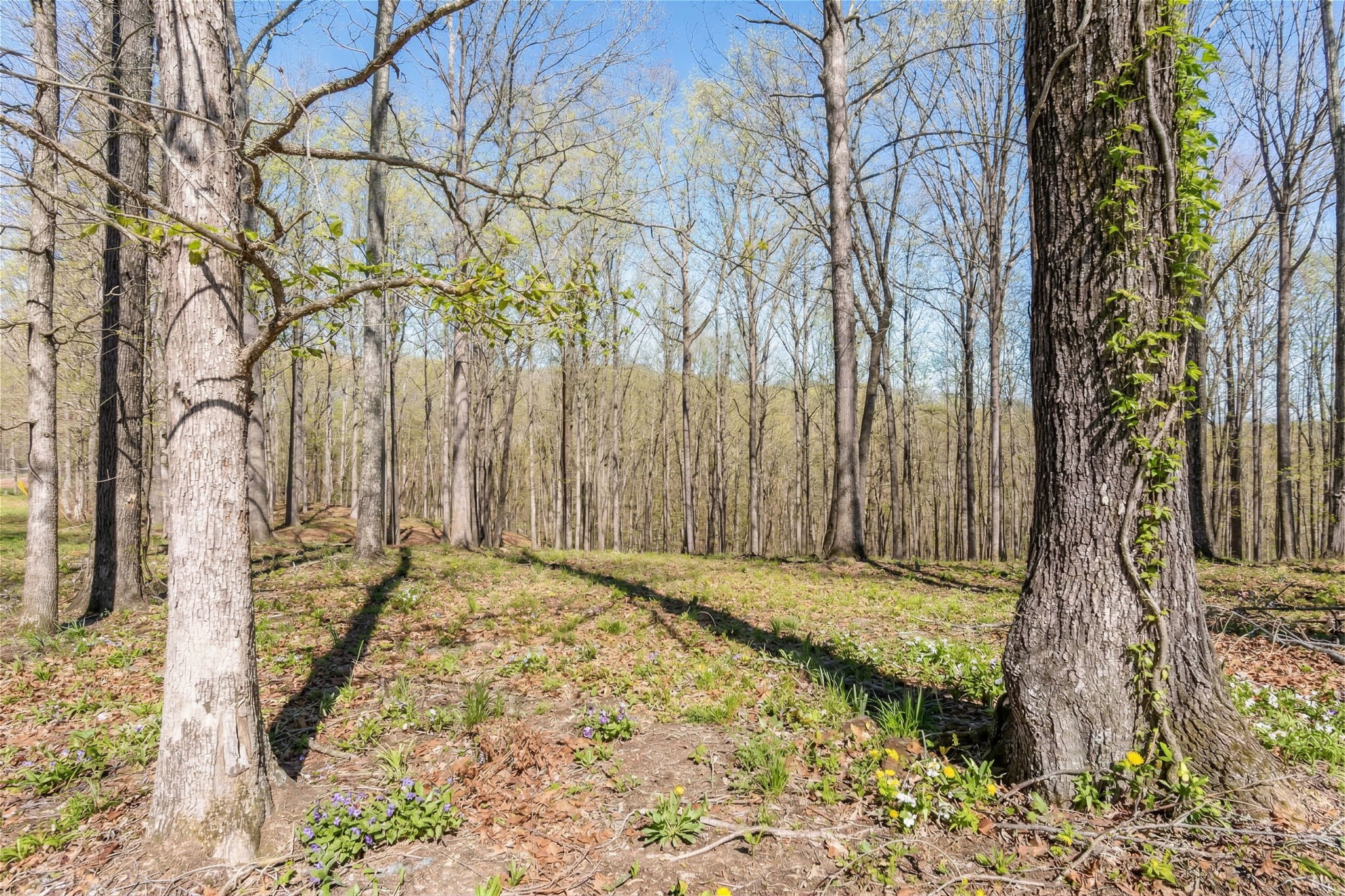 5717 Quest Ridge Rd