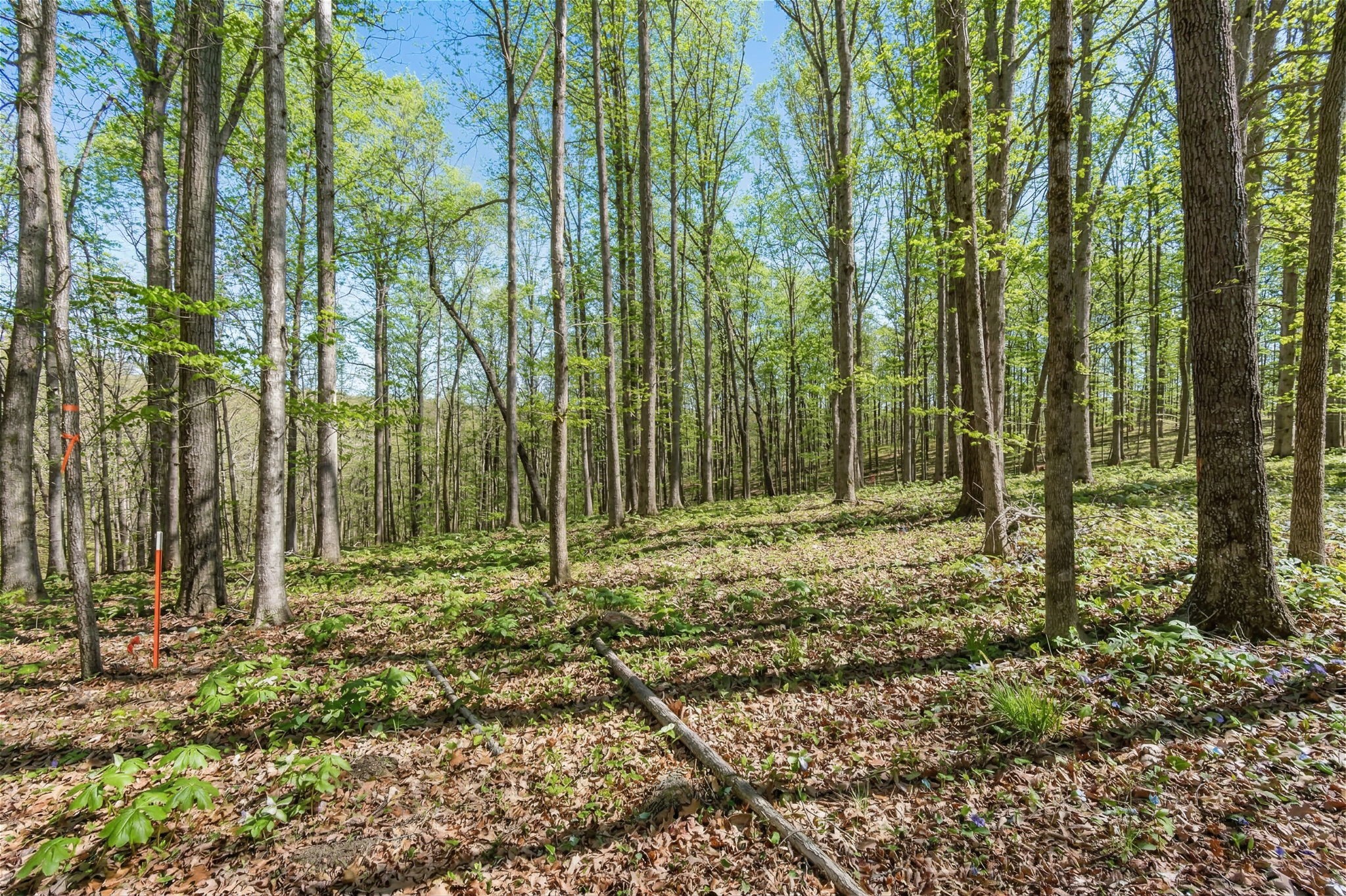 5717 Quest Ridge Rd