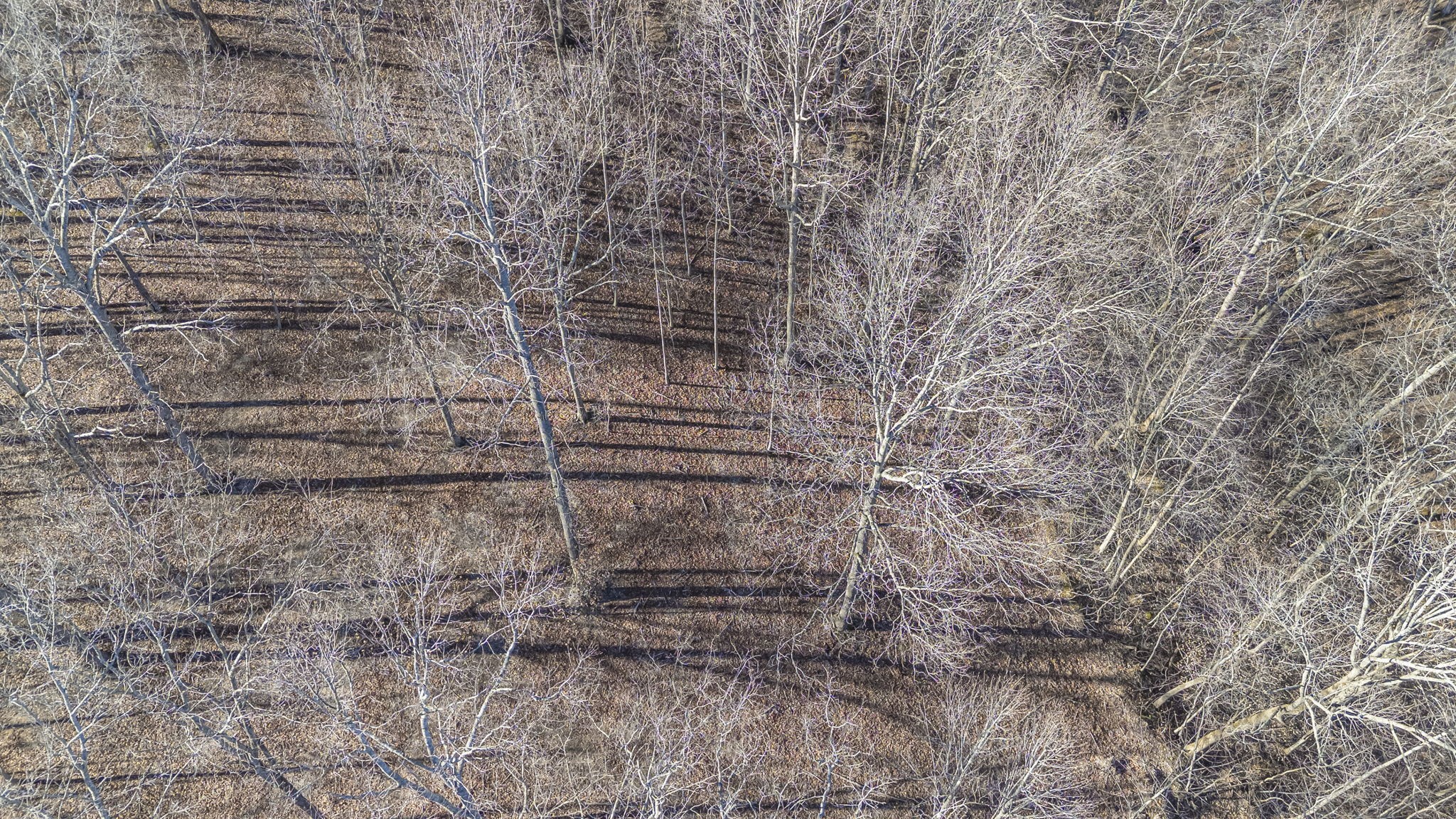 5717 Quest Ridge Rd