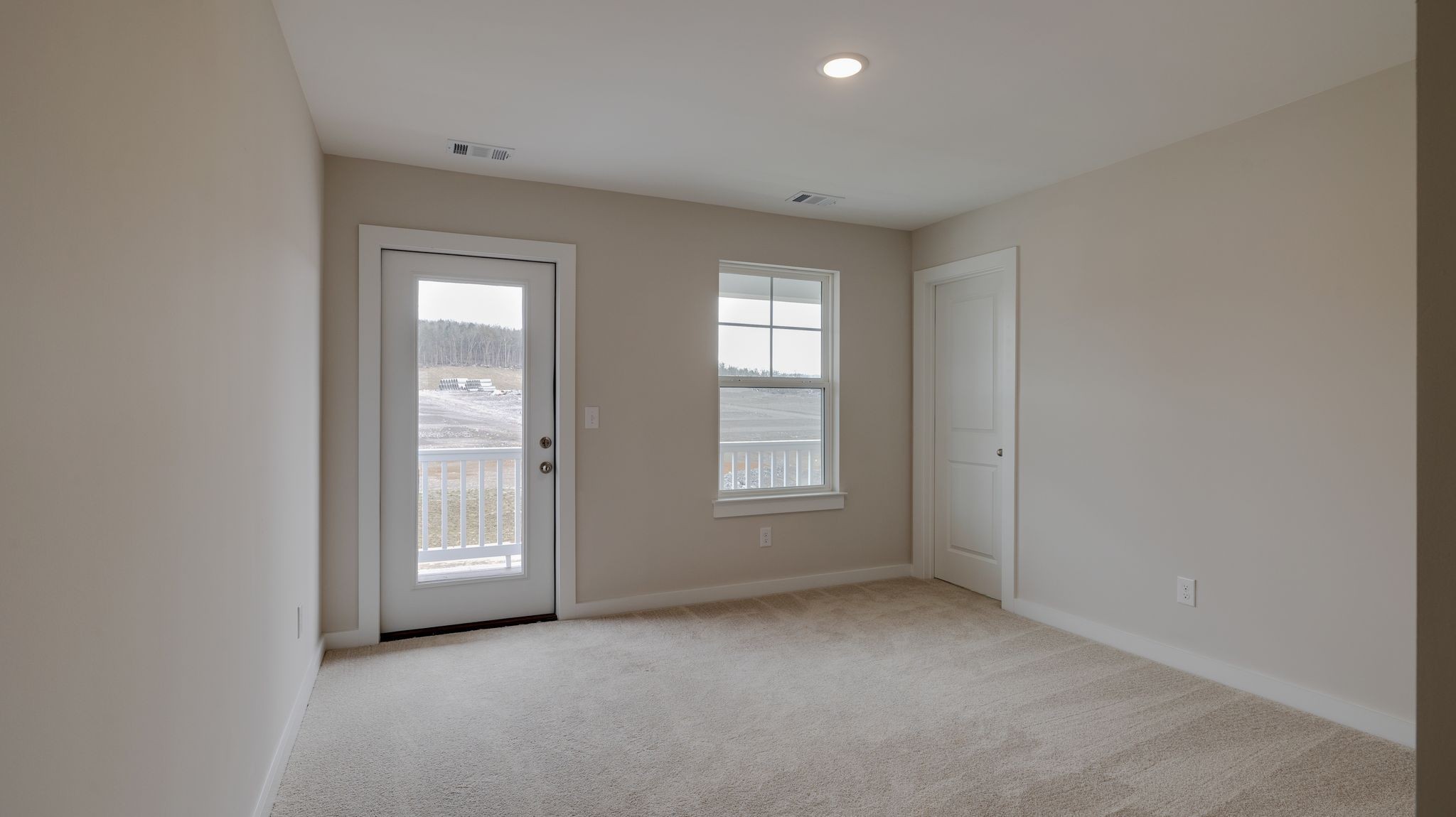 4162 Dream Beetle Loop