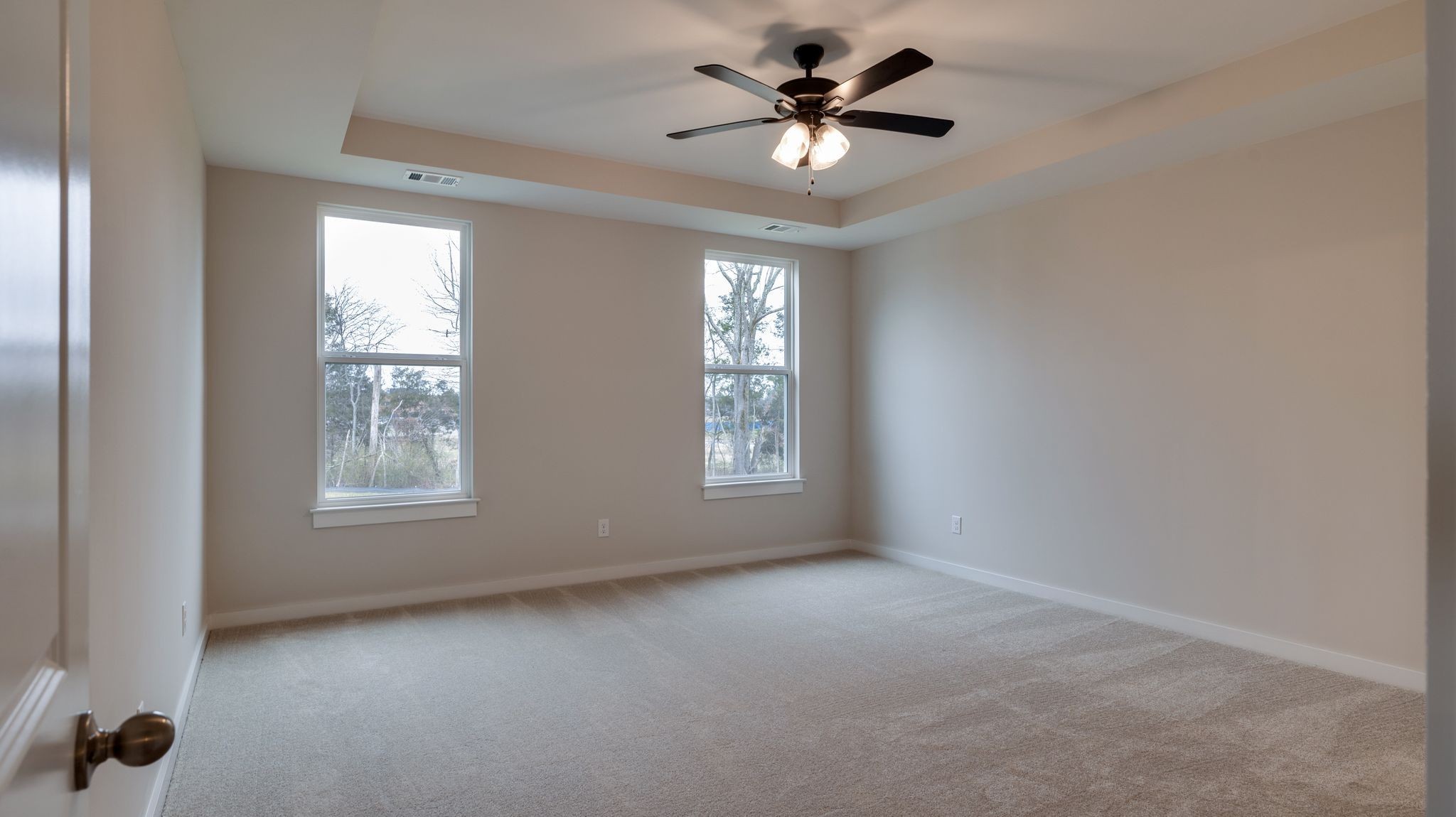 4162 Dream Beetle Loop