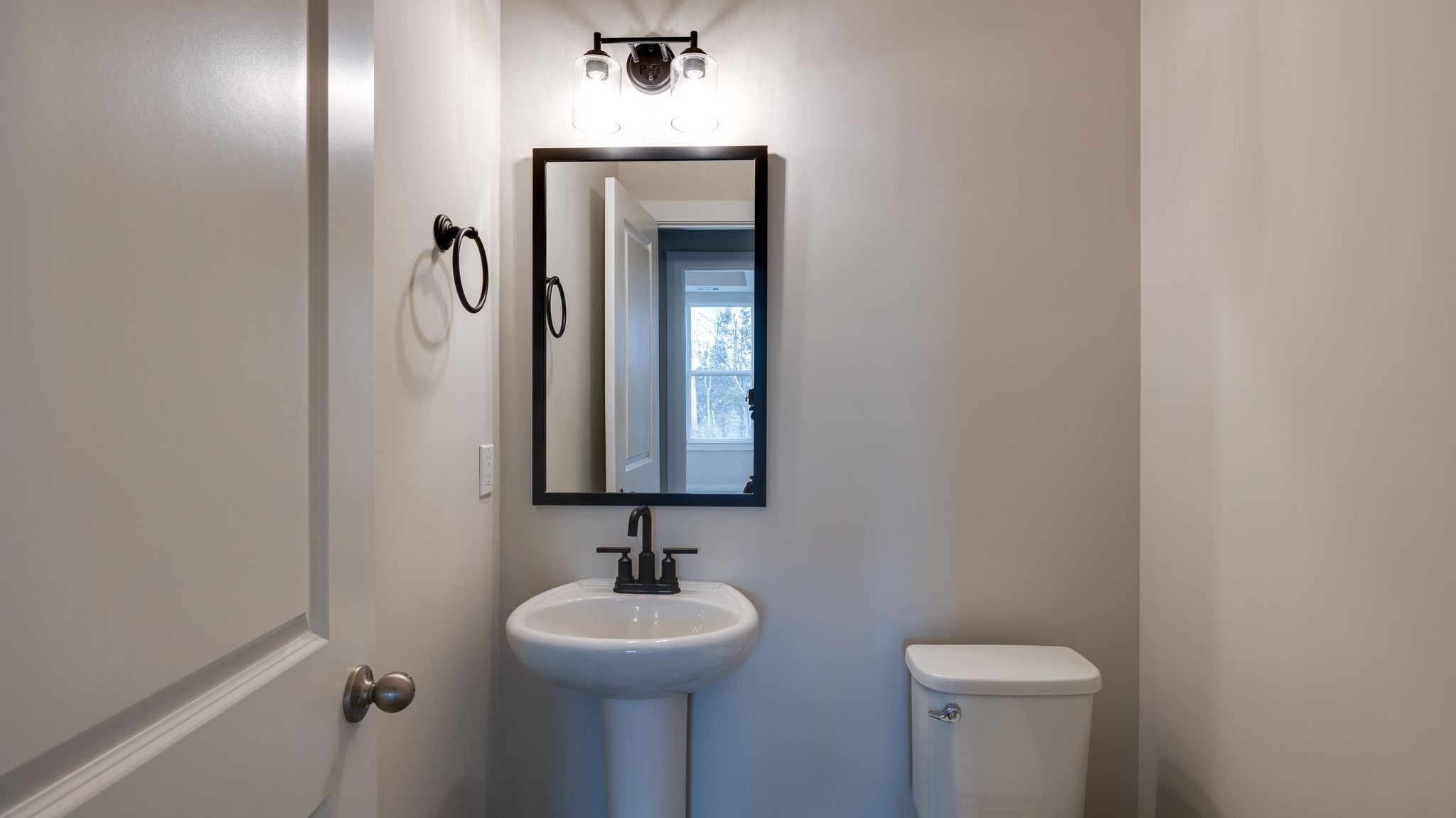 4162 Dream Beetle Loop