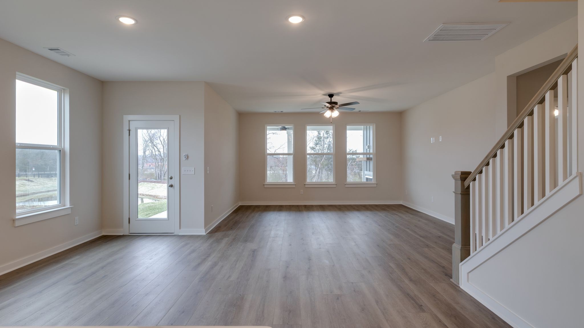 4162 Dream Beetle Loop