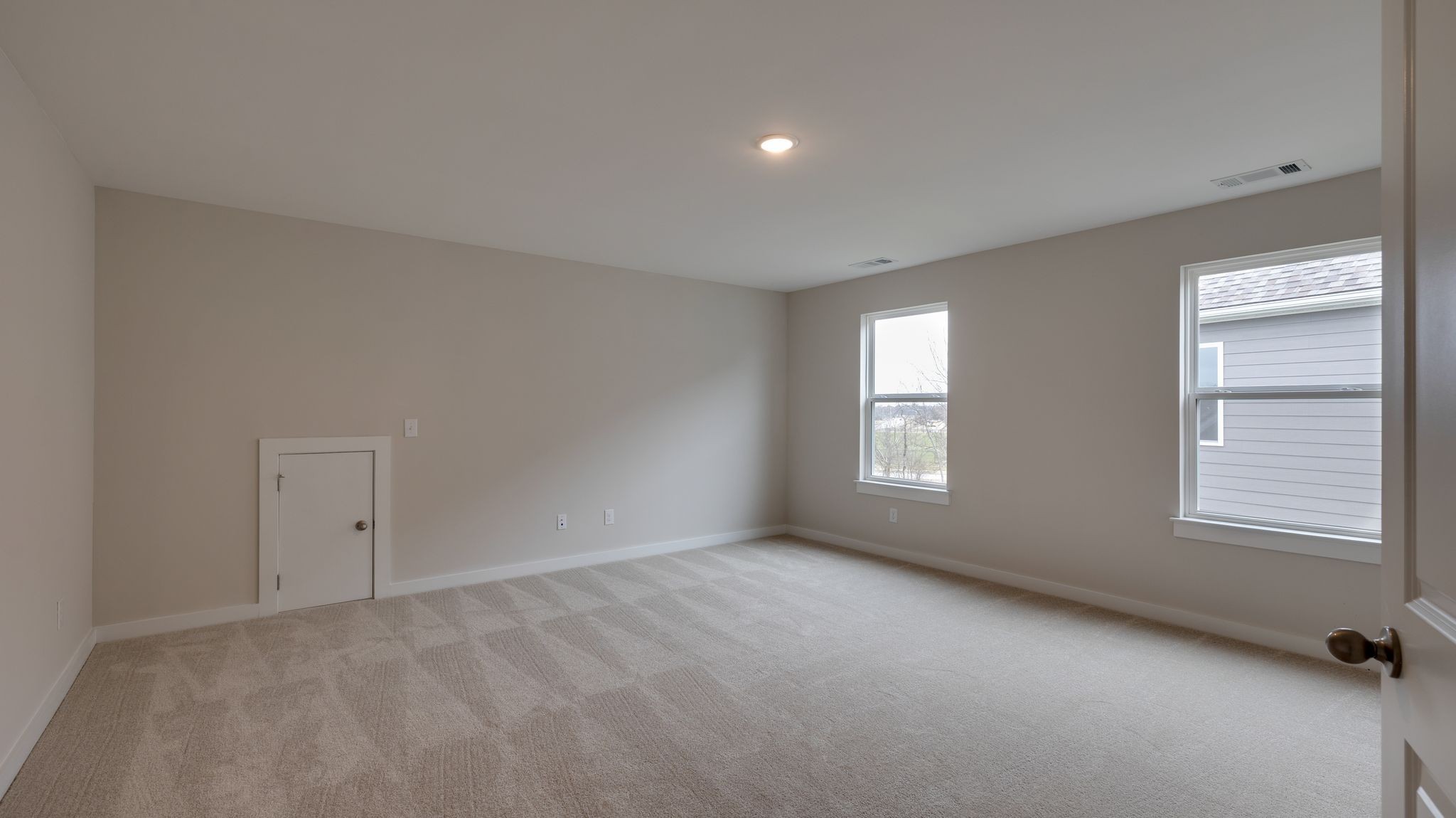 4162 Dream Beetle Loop