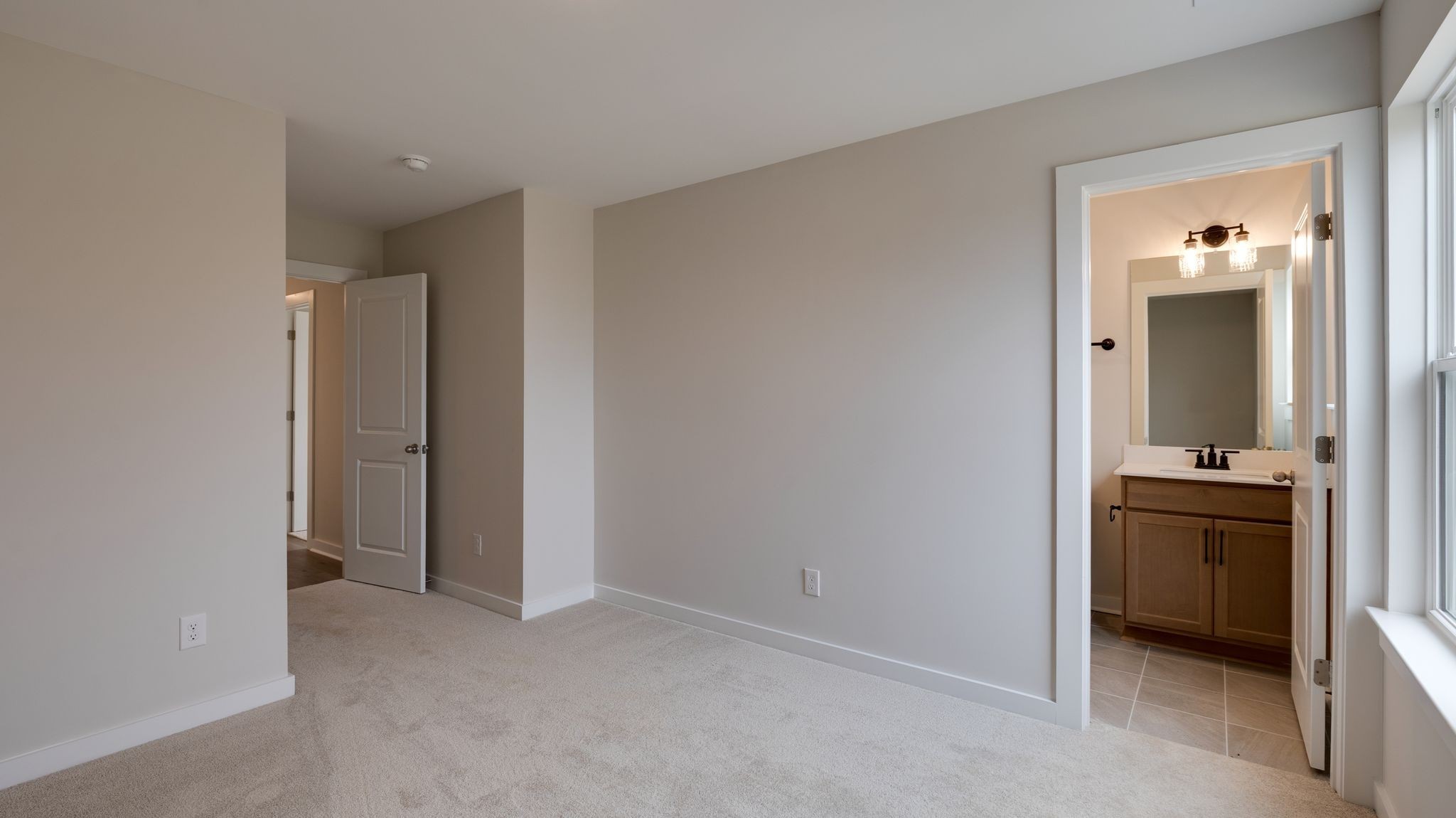 4162 Dream Beetle Loop