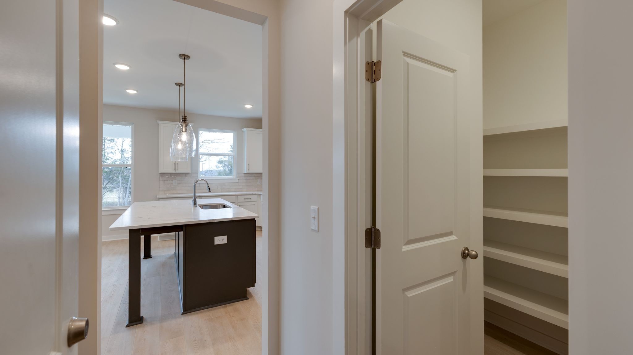 4158 Dream Beetle Loop