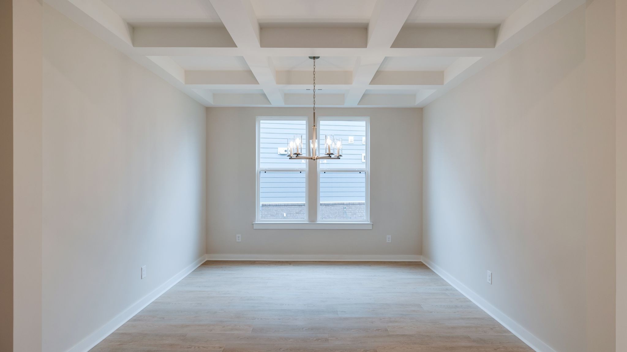 4158 Dream Beetle Loop