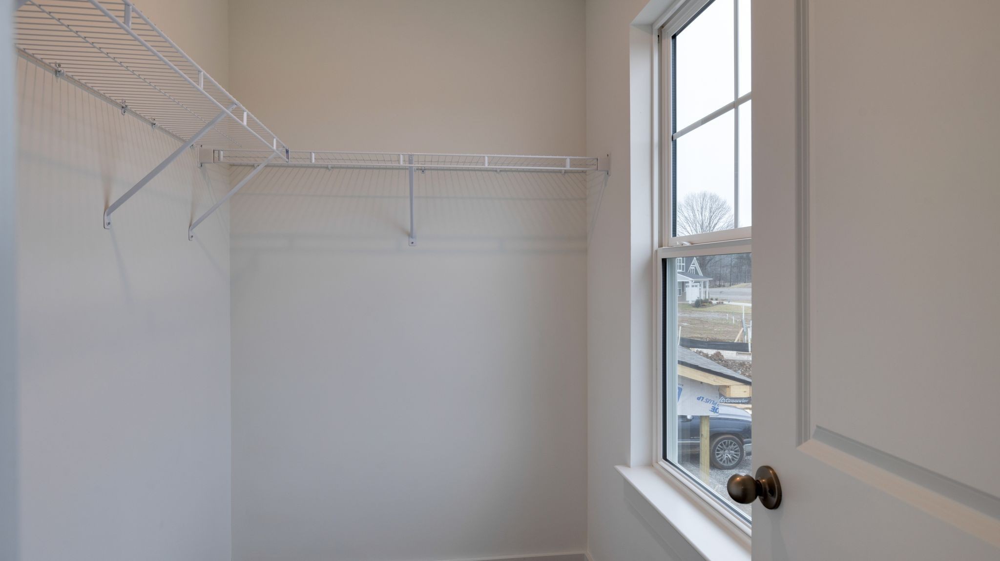 4158 Dream Beetle Loop