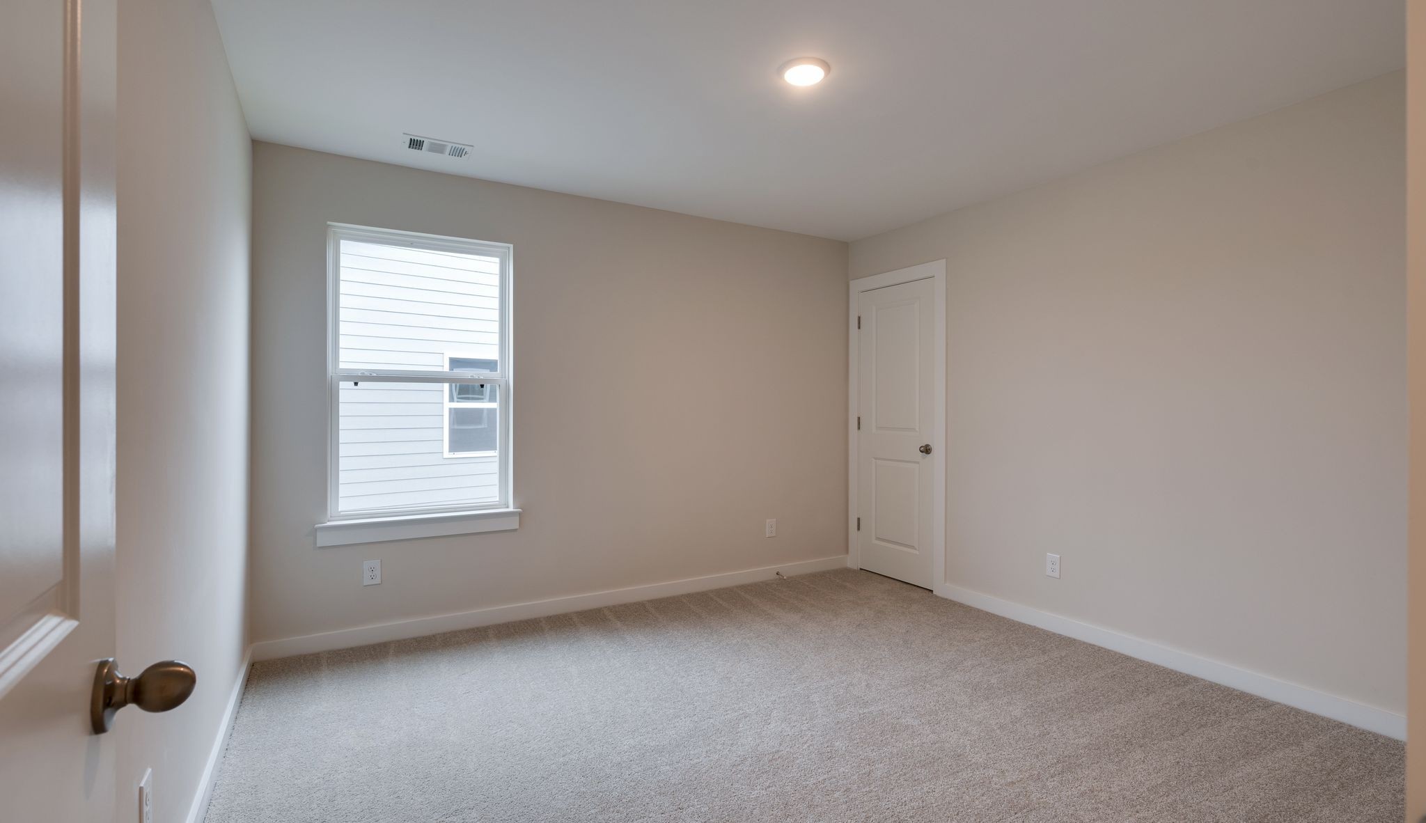 4158 Dream Beetle Loop