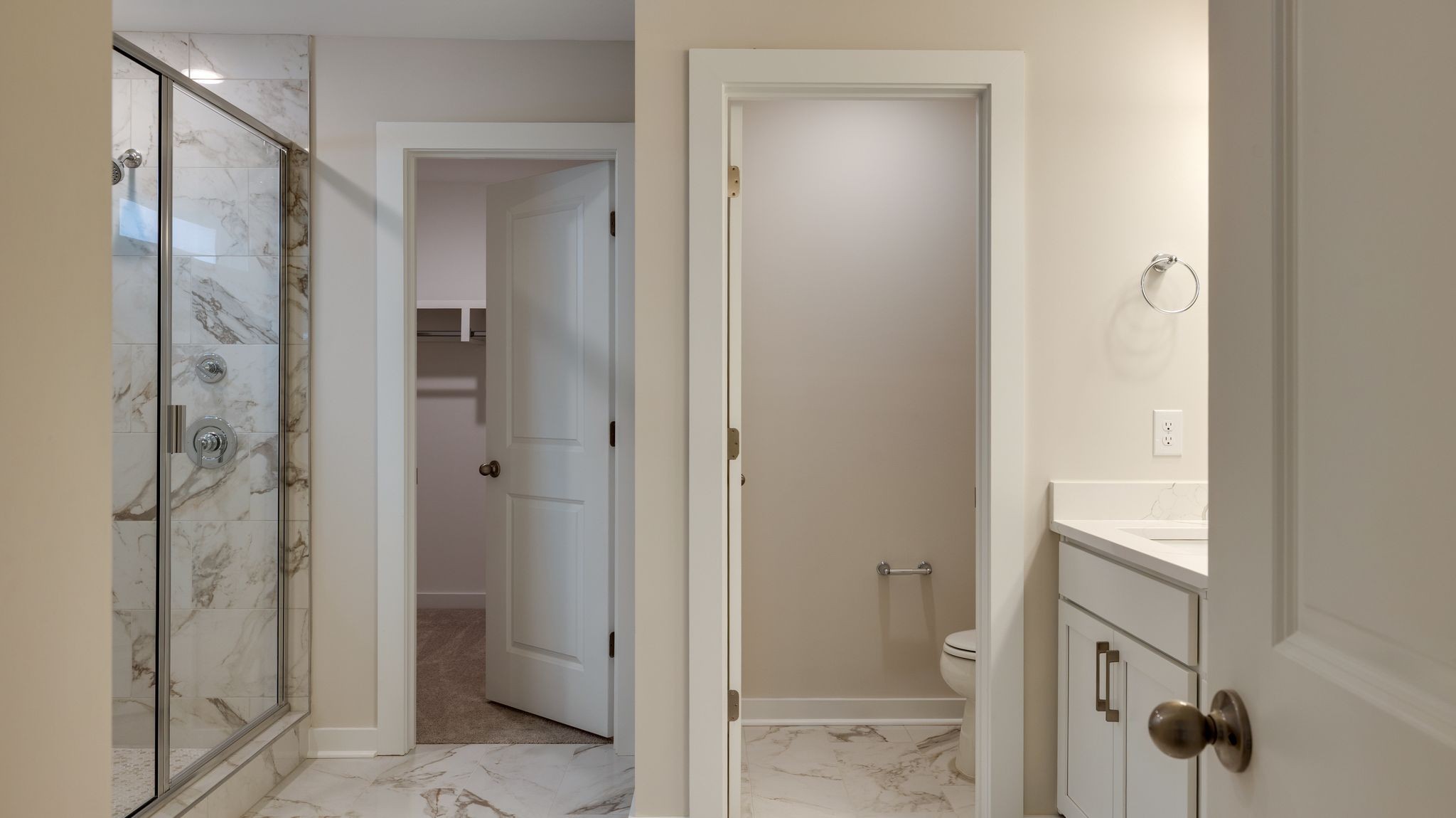 4158 Dream Beetle Loop